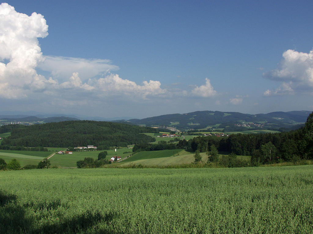 Gasthof-Hotel Dilger Rattenberg エクステリア 写真